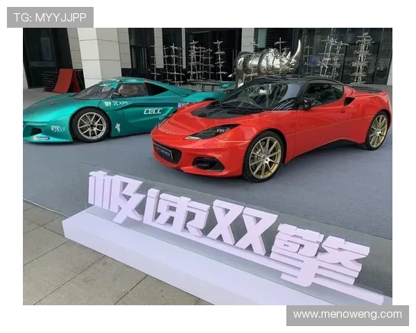 利来体育平台推出创新功能，提升用户体验实现多元化体育娱乐需求